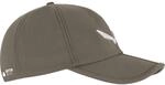 Salewa Fanes Fold Visor Cap