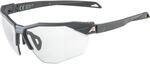 Alpina Twist Six HR V 1-3 Sportbrille