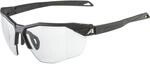 Alpina Twist Six HR V 1-3 Sportbrille