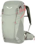 Salewa Alp Trainer 20 Wanderrucksack
