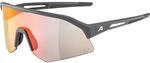 Alpina Sonic HR QV 1-3 Sportbrille