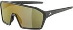 Alpina RAM Q-Lite Sportbrille