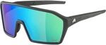Alpina RAM Q-Lite Sportbrille