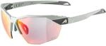 Alpina Twist Six HR QV 1-3 Sportbrille