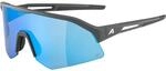 Alpina Sonic HR Q 2 Sportbrille