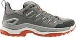 Lowa Herren Innovo GTX Low Schuhe