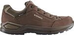 Lowa Herren Renegade Evo GTX Low Schuhe