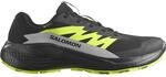 Salomon Herren Alphaglide GTX Schuhe