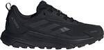 adidas Terrex Herren Anylander R.RDY Schuhe