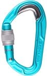 Edelrid Bulletproof Screw Karabiner