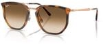 Ray Ban Ray Ban 0RB4451 Sonnenbrille