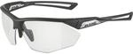 Alpina Nylos HR Sportbrille