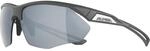 Alpina Nylos HR Sportbrille