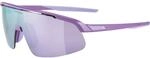 Alpina Kinder Turbo Pro Sportbrille