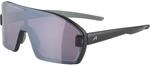 Alpina Bonfire Mag Q+ Sportbrille