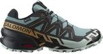 Salomon Herren Speedcross 6 GTX Schuhe