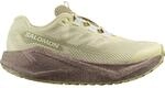 Salomon Damen Aero Blaze 3 GRVL GTX Schuhe