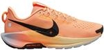 Nike Herren Pegasus Trail 5 Schuhe