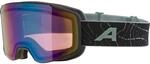 Alpina Taos Q Skibrille