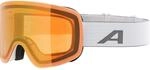 Alpina Penken Q Skibrille