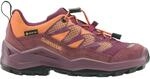 Lowa Kinder Maddox Pro GTX Low Schuhe