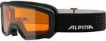 Alpina Kinder Scarabeo Doubleflex Skibrille