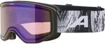 Alpina Venet Q Skibrille