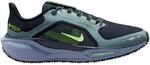 Nike Herren Pegasus 41 GTX Schuhe