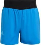 adidas Terrex Herren Xperior Clima365 Shorts