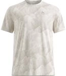 Odlo Herren Zeroweight Chill-Tec Print T-Shirt