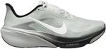 Nike Herren Air Zoom Pegasus 42 RR Schuhe