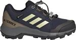 adidas Terrex Kinder GTX Schuhe