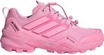 adidas Terrex Damen Skychaser GTX Schuhe