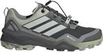 adidas Terrex Herren Skychaser GTX Schuhe