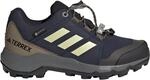 adidas Terrex Kinder GTX Schuhe