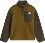 The North Face Kinder Teen Yumiori 1/4 Zip Pullover