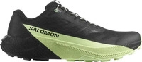 Salomon L47887800-UK 12.5, Salomon Pulsar Herren Trailrunningschuhe schwarz Gr&ouml;&szlig;e