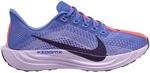 Nike Damen Pegasus Plus Schuhe