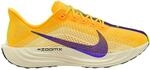 Nike Herren Pegasus Plus Schuhe