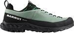 Mammut Herren Alnasca IV Low GTX Schuhe