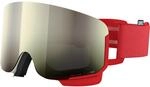 POC Nexal Skibrille