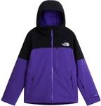 The North Face Herren Freedom Insulated Jacke
