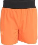 adidas Terrex Herren Xperior Clima365 Shorts