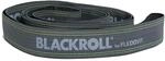 Blackroll Resist Trainingsband