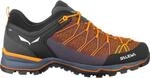 Salewa Herren MTN Trainer Lite Schuhe