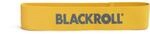 Blackroll Loop Trainingsband