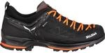 Salewa Herren MTN Trainer 2 GTX Schuhe