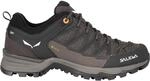 Salewa Damen MTN Trainer Lite GTX Schuhe