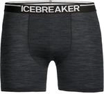 Icebreaker Herren Anatomica Boxer