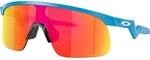 Oakley Kinder Resistor Sportbrille